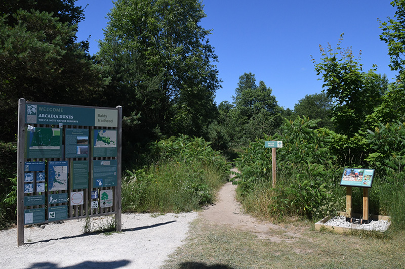 Arcadia Dunes Baldy Trails